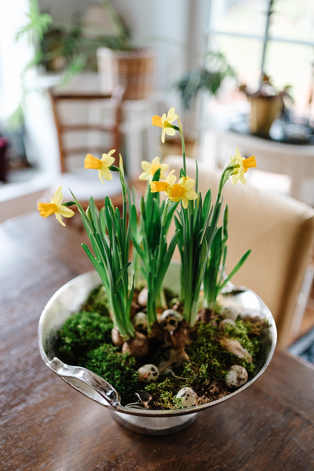 Den Frühling ins Haus holen