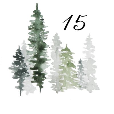 15. Dezember – Neuanfang